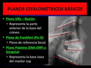 PLANOS CEFALOMÉTRICOS BÁSICOS
 Plano Silla – Nasión:
 Representa la parte
anterior de la base del
cráneo.
 Plano de Frankfort (Po-O)
 Plano de referencia facial.
 Plano Palatino (ENA-ENP) o
biespinal
 Representa la base ósea
del maxilar sup.
 