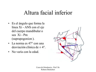 Cefalometria de Rickets - Análisis básico | PDF