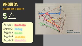 Cefalometria de ricketts.pdf