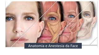 Anatomia e Anestesia da Face
 