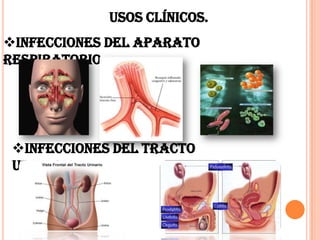 USOS CLÍNICOS.
Infecciones del aparato
respiratorio
Infecciones del tracto
urinario
 