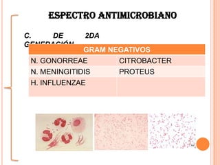 C. DE 2DA
GENERACIÓN.
GRAM NEGATIVOS
N. GONORREAE CITROBACTER
N. MENINGITIDIS PROTEUS
H. INFLUENZAE
ESPECTRO ANTIMICROBIANO
 