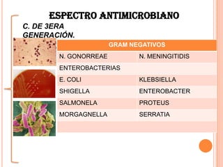 C. DE 3ERA
GENERACIÓN.
GRAM NEGATIVOS
N. GONORREAE N. MENINGITIDIS
ENTEROBACTERIAS
E. COLI KLEBSIELLA
SHIGELLA ENTEROBACTER
SALMONELA PROTEUS
MORGAGNELLA SERRATIA
ESPECTRO ANTIMICROBIANO
 