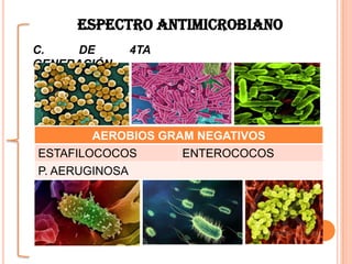 C. DE 4TA
GENERACIÓN.
ESPECTRO ANTIMICROBIANO
AEROBIOS GRAM NEGATIVOS
ESTAFILOCOCOS ENTEROCOCOS
P. AERUGINOSA
 