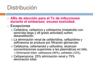 Distribución
 ABs de elección para el Tx de infecciones
durante el embarazo; escasa toxicidad.
 Excepciones
 Cefalotina, cefapirina y cefotaxima (metabolito con
semivida larga y dif grado actividad) sufren
desacetilación.
 La eliminación renal de cefaloridina, ceftazidima y
ceftriaxona se produce por filtración glomerular.
 Cefalozina, cefamandol y cefoxitina, alcanzan
concentraciones superiores a las plasmáticas en bilis.
 Eliminación biliar: ceftriaxona (40%), cefotetán (12%).
 Cefoperazona: 25% eliminación renal y 75%
eliminación biliar.
 