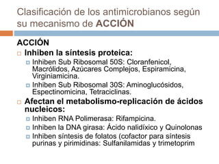 Clasificación de los antimicrobianos según
su mecanismo de ACCIÓN
ACCIÓN
 Inhiben la síntesis proteica:
 Inhiben Sub Ribosomal 50S: Cloranfenicol,
Macrólidos, Azúcares Complejos, Espiramicina,
Virginiamicina.
 Inhiben Sub Ribosomal 30S: Aminoglucósidos,
Espectinomicina, Tetraciclinas.
 Afectan el metabolismo-replicación de ácidos
nucleicos:
 Inhiben RNA Polimerasa: Rifampicina.
 Inhiben la DNA girasa: Ácido nalidíxico y Quinolonas
 Inhiben síntesis de folatos (cofactor para síntesis
purinas y pirimidinas: Sulfanilamidas y trimetoprim
 