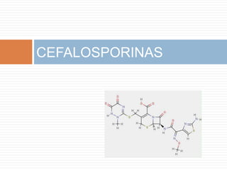 CEFALOSPORINAS
 