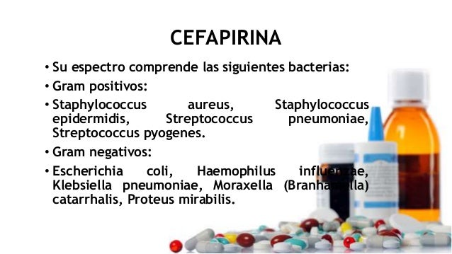Cefapirina Cefapirina