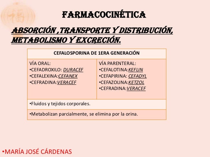 Cefalosporina Cefalosporina