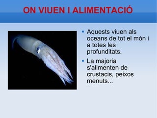 ON VIUEN I ALIMENTACIÓ Aquests viuen als oceans de tot el món i a totes les profunditats. La majoria s'alimenten de crustacis, peixos menuts... 