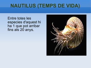 NAUTILUS (TEMPS DE VIDA) Entre totes les especies d'aquest hi ha 1 que pot arribar fins als 20 anys. 
