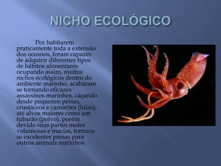 Por habitarem
praticamente toda a extensão
dos oceanos, foram capazes
de adquirir diferentes tipos
de hábitos alimentares
ocupando assim, muitos
nichos ecológicos dentro do
ambiente marinho, acabaram
se tornando eficazes
assassinos marinhos, caçando
desde pequenos peixes,
crustáceos e camarões (lulas),
até alvos maiores como um
tubarão (polvo), porém
devido suas partes moles
volumosas e macias, tornara-
se excelentes presas para
outros animais marinhos.
 