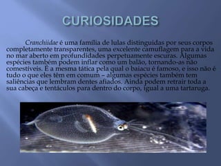 Cranchiidae é uma família de lulas distinguidas por seus corpos
completamente transparentes, uma excelente camuflagem para a vida
no mar aberto em profundidades perpetuamente escuras. Algumas
espécies também podem inflar como um balão, tornando-as não
comestíveis. É a mesma tática pela qual o baiacu é famoso, e isso não é
tudo o que eles têm em comum – algumas espécies também tem
saliências que lembram dentes afiados. Ainda podem retrair toda a
sua cabeça e tentáculos para dentro do corpo, igual a uma tartaruga.
 