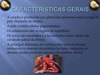  A concha é produzida por glândulas presentes numa prega de
pele chamada de manto;
 A pele contém células pigmentadas;
 Os estatocistos são os órgãos de equilíbrio;
 Os sexos são separados e a fecundação ocorre dentro da
cavidade paleal da fêmea ;
 A principal diferença dos cefalópodes para os demais
moluscos é o sistema circulatório fechado, enquanto as
demais classes possuem sistema circulatório aberto.
 