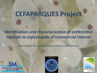 CEFAPARQUES Project
Identification and characterization of preferential
habitats to cephalopods of commercial interest
New insights for a more suitable resource management
 