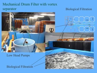 Mechanical Drum Filter with vortex
separator                            Biological Filtration




                        ...