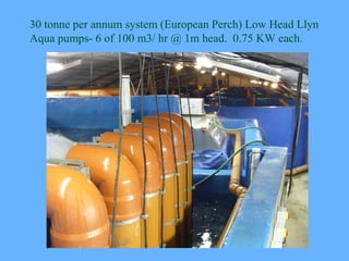 30 tonne per annum system (European Perch) Low Head Llyn
Aqua pumps- 6 of 100 m3/ hr @ 1m head. 0.75 KW each.
 