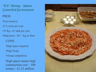 ‘ICE’ Shrimp – Indoor
Controlled Environment

PROS
•Fast turnover
•2.5 cycles per year
•25 Kg / m2 tank per year
•High pri...