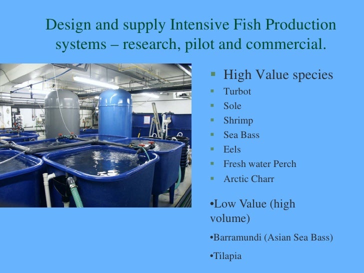 recirculation systems for fish and shrimp with integrated