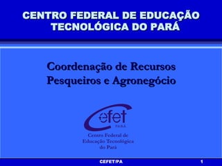 CENTRO FEDERAL DE EDUCAÇÃO TECNOLÓGICA DO PARÁ Coordenação de Recursos Pesqueiros e Agronegócio 