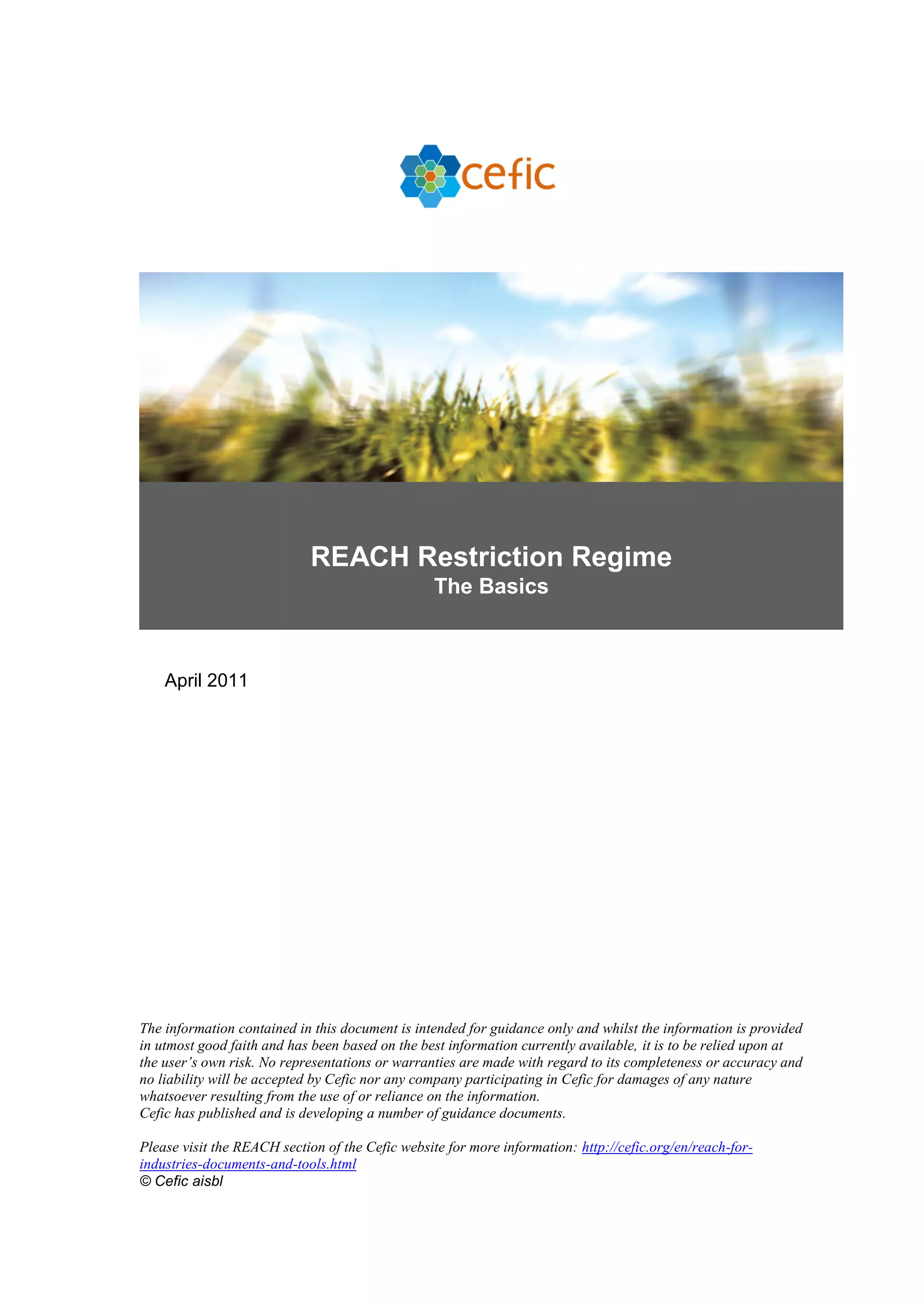 Cefic publication on_reach_restriction_regime__the_basics PDF
