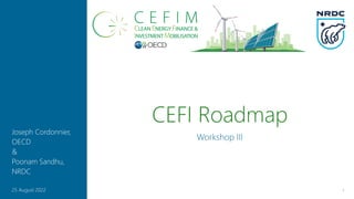 CEFI Roadmap
Workshop III
1
25 August 2022
Joseph Cordonnier,
OECD
&
Poonam Sandhu,
NRDC
 