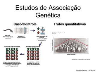 Estudos de Associação
Genética
Caso/Controle Tratos quantitativos
Rinaldo Pereira - UCB - DF
 