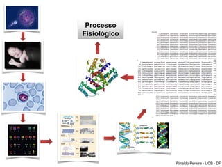 Processo
Fisiológico
Rinaldo Pereira - UCB - DF
 