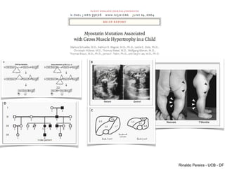 Rinaldo Pereira - UCB - DF
 
