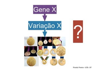 Gene X
Variação X
?
Rinaldo Pereira - UCB - DF
 