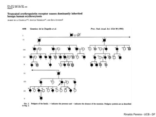 Rinaldo Pereira - UCB - DF
 