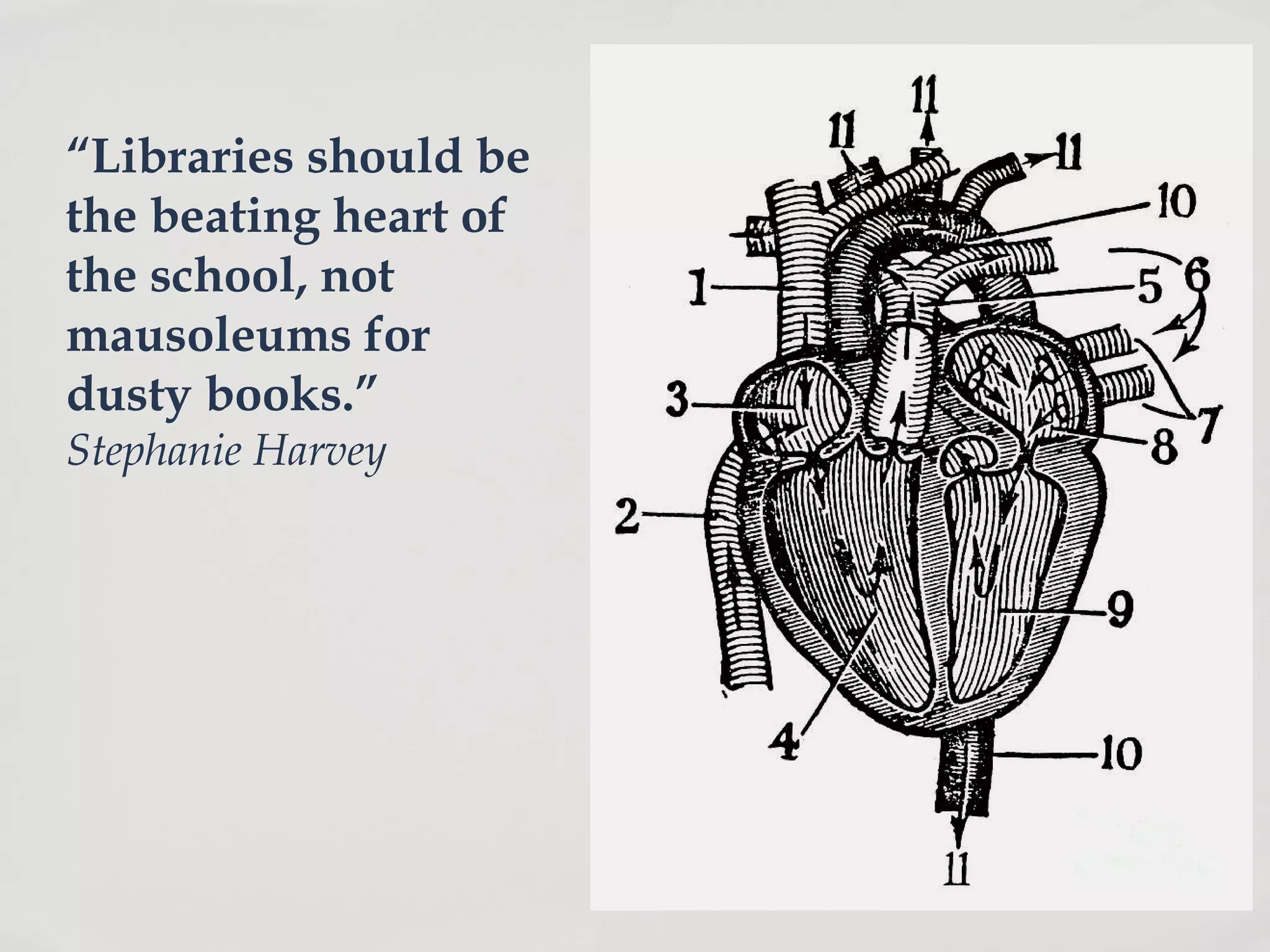 “Libraries should be
the beating heart of
the school, not
mausoleums for
dusty books.”
Stephanie Harvey
 