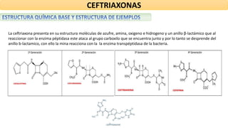 CEFTRIAXONAS
La ceftriaxona presenta en su estructura moléculas de azufre, amina, oxigeno e hidrogeno y un anillo β-lactámico que al
reaccionar con la enzima péptidasa este ataca al grupo carboxilo que se encuentra junto y por lo tanto se desprende del
anillo b-lactamico, con ello la mina reacciona con la la enzima transpéptidasa de la bacteria.
 