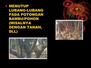 • MENUTUP
LUBANG-LUBANG
PADA POTONGAN
BAMBU/POHON
(MISALNYA
DENGAN TANAH,
DLL)
 