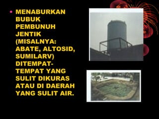 • MENABURKAN
BUBUK
PEMBUNUH
JENTIK
(MISALNYA:
ABATE, ALTOSID,
SUMILARV)
DITEMPAT-
TEMPAT YANG
SULIT DIKURAS
ATAU DI DAERAH
YANG SULIT AIR.
 