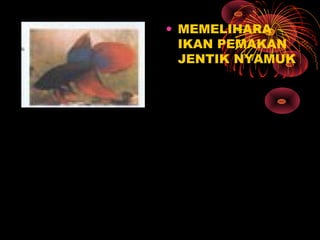 • MEMELIHARA
IKAN PEMAKAN
JENTIK NYAMUK
 