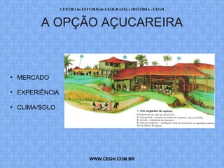 CENTRO de ESTUDOS de GEOGRAFIA e HISTÓRIA - CEGH



        A OPÇÃO AÇUCAREIRA



• MERCADO

• EXPERIÊNCIA

• CLIMA/SOLO




                             WWW.CEGH.COM.BR
 