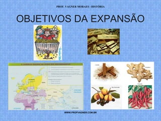 PROF. VAGNER MORAES - HISTÓRIA 
OBJETIVOS DA EXPANSÃO 
WWW.PROFVAGNER.COM.BR 
 