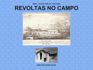 PROF. VAGNER MORAES - HISTÓRIA 
REVOLTAS NO CAMPO 
WWW.PROFVAGNER.COM.BR 
 