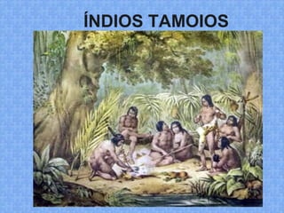 ÍNDIOS TAMOIOS
 