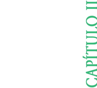 CAP¸TULO II 
 