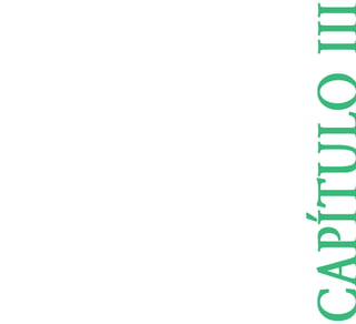 CAP¸TULO III 
 