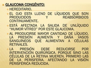  GLAUCOMA CONGÉNITO:
 HEREDITARIO.
 EL OJO ESTA LLENO DE LÍQUIDOS QUE SON
PRODUCIDOS Y REABSORBIDOS
CONTINUAMENTE.
 ESTÁ AFECTADA LA SALIDA DE UNLÍQUIDO
“HUMOR VÍTREO” POR ESTE GLAUCOMA.
 AL PRODUCIRSE MAYOR CANTIDAD DE LÍQUIDO,
LA PRESIÓN AUMENTA Y DAÑA VASOS
SANGUÍNEOS QUE ALIMENTAN A CÉLULAS
RETINALES.
 LA PRESIÓN DEBE REDUCIRSE POR
INTERVENCIÓN QUIRÚRGICA. PORQUE SINO LAS
CÉLULAS DE LA RETINA MUEREN. PRIMERO LAS
DE LA PERISFERIA. AFECTANDO LA VISIÓN
PERISFÉRICA REDUCIDA.
 