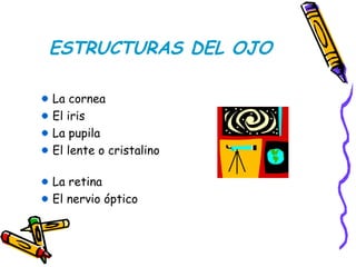 ESTRUCTURAS DEL OJO
La cornea
El iris
La pupila
El lente o cristalino
La retina
El nervio óptico
 