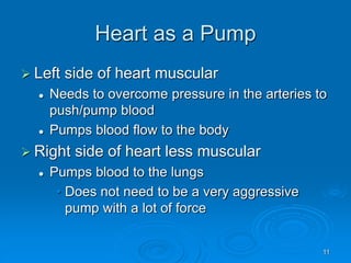 11
Heart as a Pump
 Left side of heart muscular
 Needs to overcome pressure in the arteries to
push/pump blood
 Pumps blood flow to the body
 Right side of heart less muscular
 Pumps blood to the lungs
• Does not need to be a very aggressive
pump with a lot of force
 