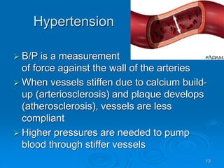 13
Hypertension
 B/P is a measurement
of force against the wall of the arteries
 When vessels stiffen due to calcium build-
up (arteriosclerosis) and plaque develops
(atherosclerosis), vessels are less
compliant
 Higher pressures are needed to pump
blood through stiffer vessels
 