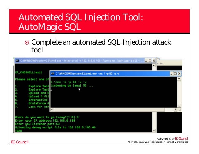 Automated sql injection tool windows - kasercost