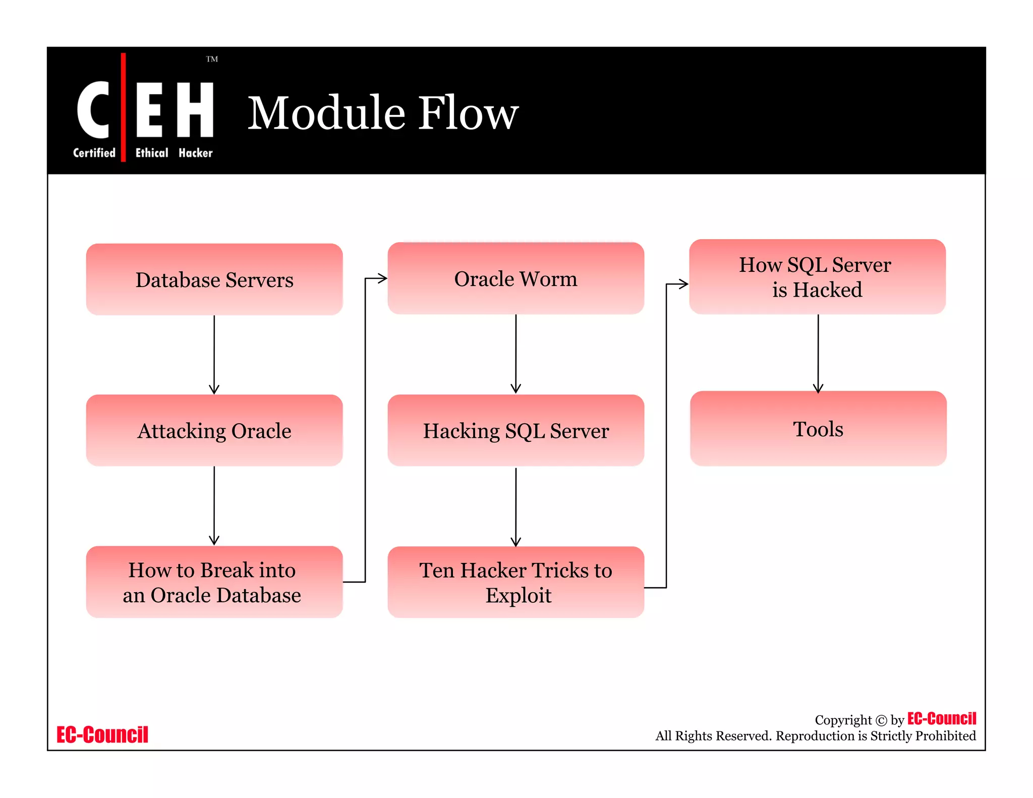 Module Flow


                                                                 How SQL Server
        Database Servers       Oracle Worm
                                                                   is Hacked




        Attacking Oracle    Hacking SQL Server                             Tools




       How to Break into    Ten Hacker Tricks to
       an Oracle Database         Exploit




                                                                              Copyright © by EC-Council
EC-Council                                         All Rights Reserved. Reproduction is Strictly Prohibited
 