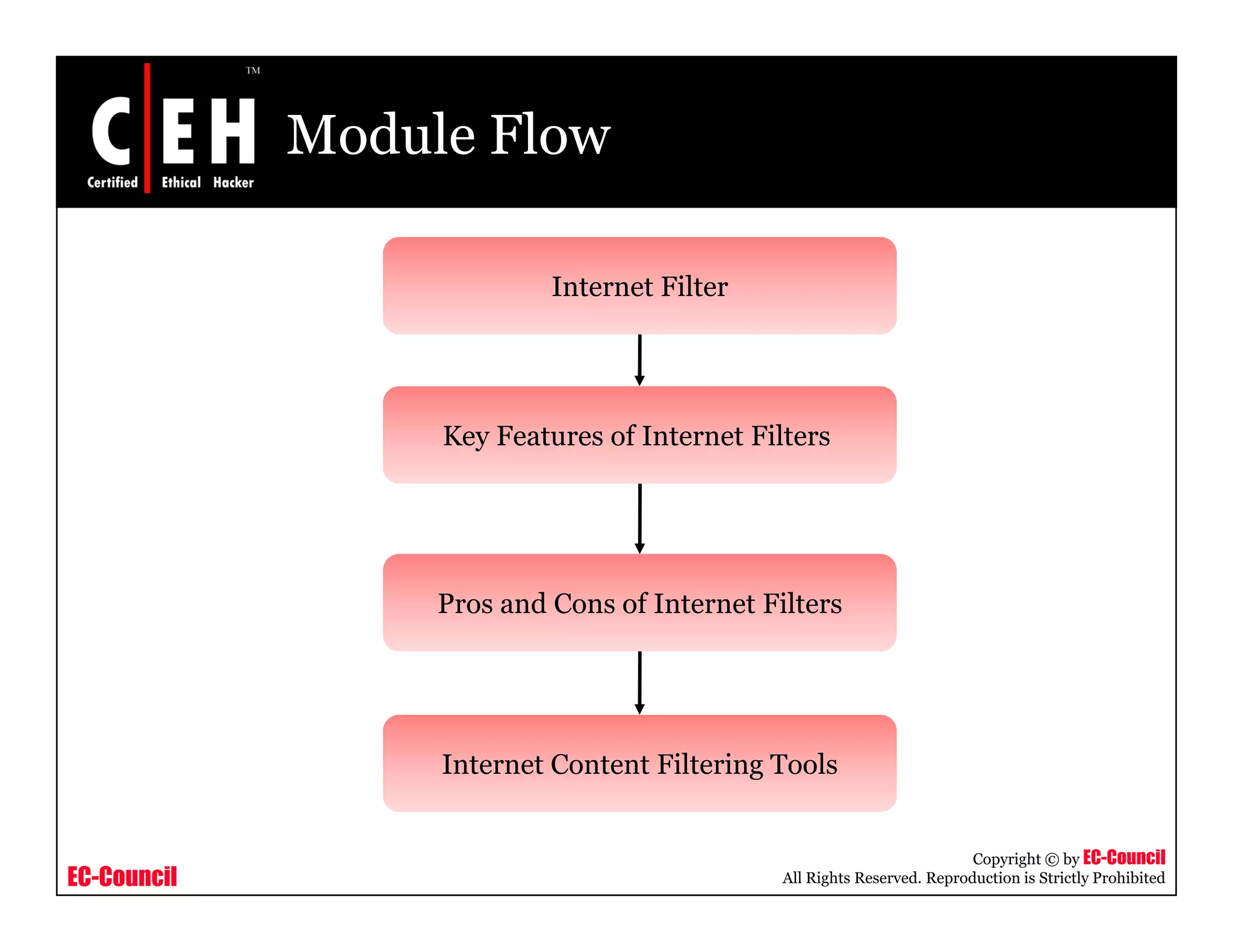 Module Flow

                           Internet Filter




                  Key Features of Internet Filters




                  Pros and Cons of Internet Filters




                  Internet Content Filtering Tools
                                           g


                                                                         Copyright © by EC-Council
EC-Council                                    All Rights Reserved. Reproduction is Strictly Prohibited
 