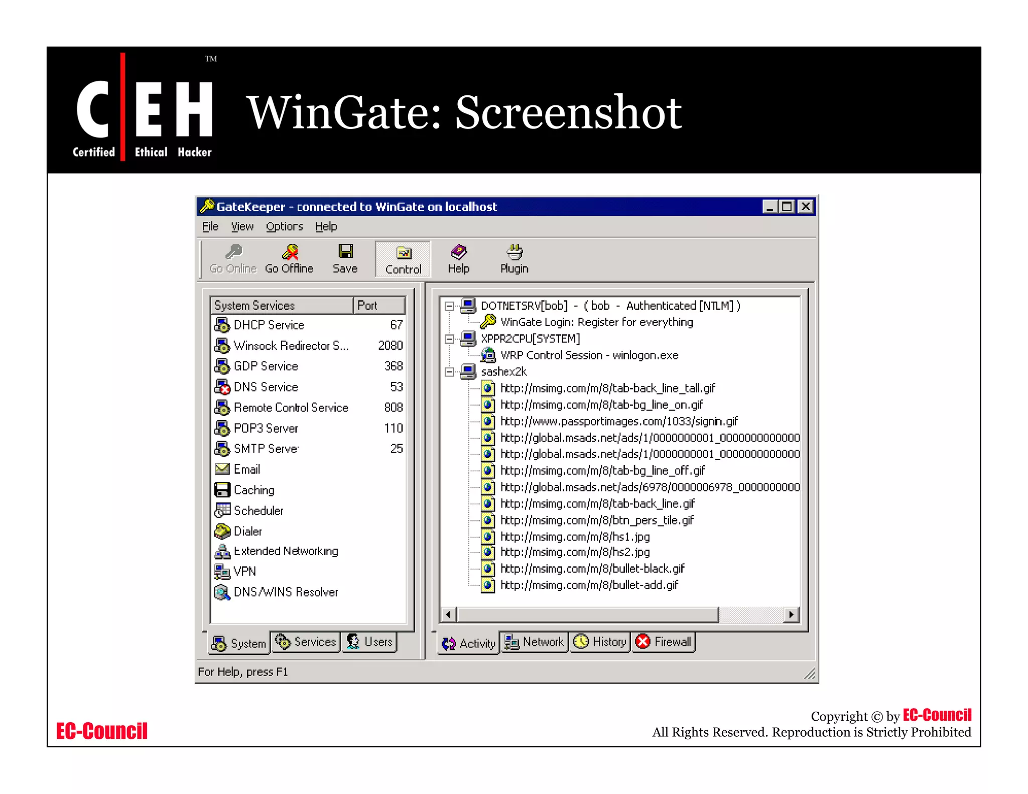 WinGate: Screenshot
EC-Council
Copyright © by EC-Council
All Rights Reserved. Reproduction is Strictly Prohibited
 